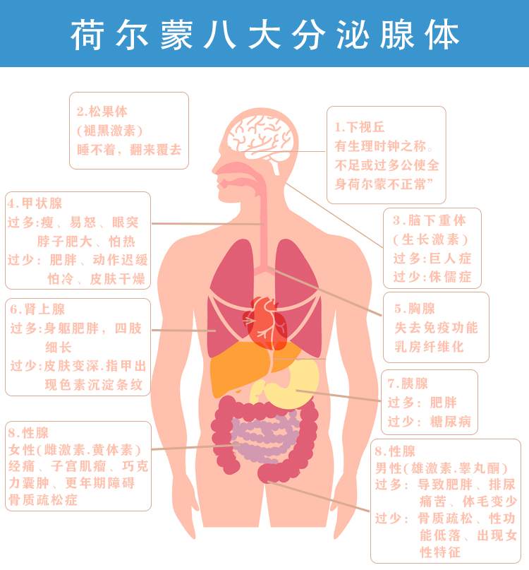HGH凝胶详情页_14.jpg