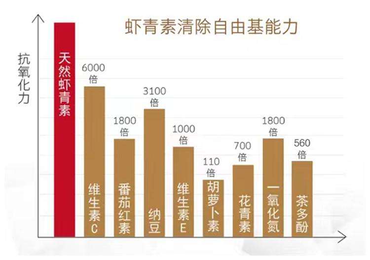未标题-1_16.jpg